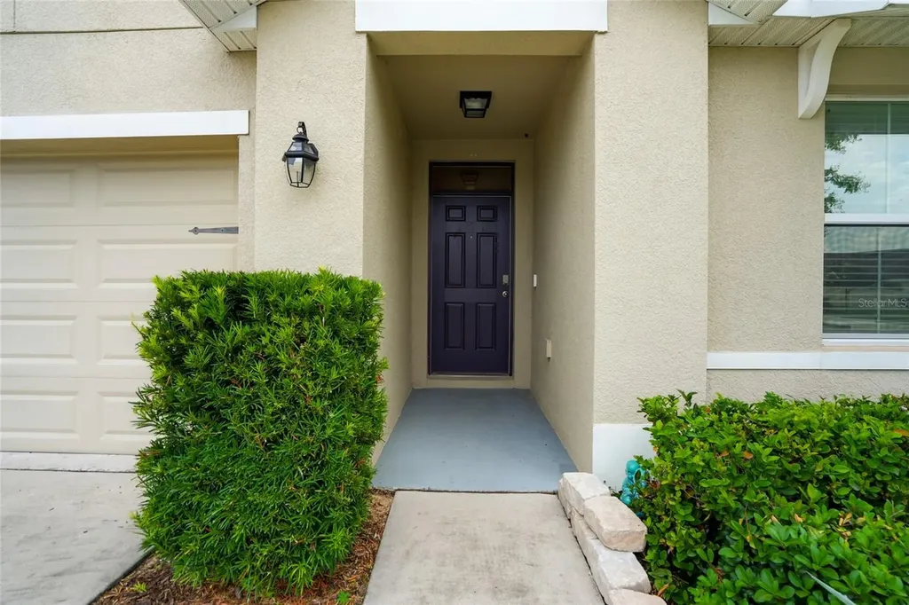 35803 Hillbrook Avenue Zephyrhills FL 33541