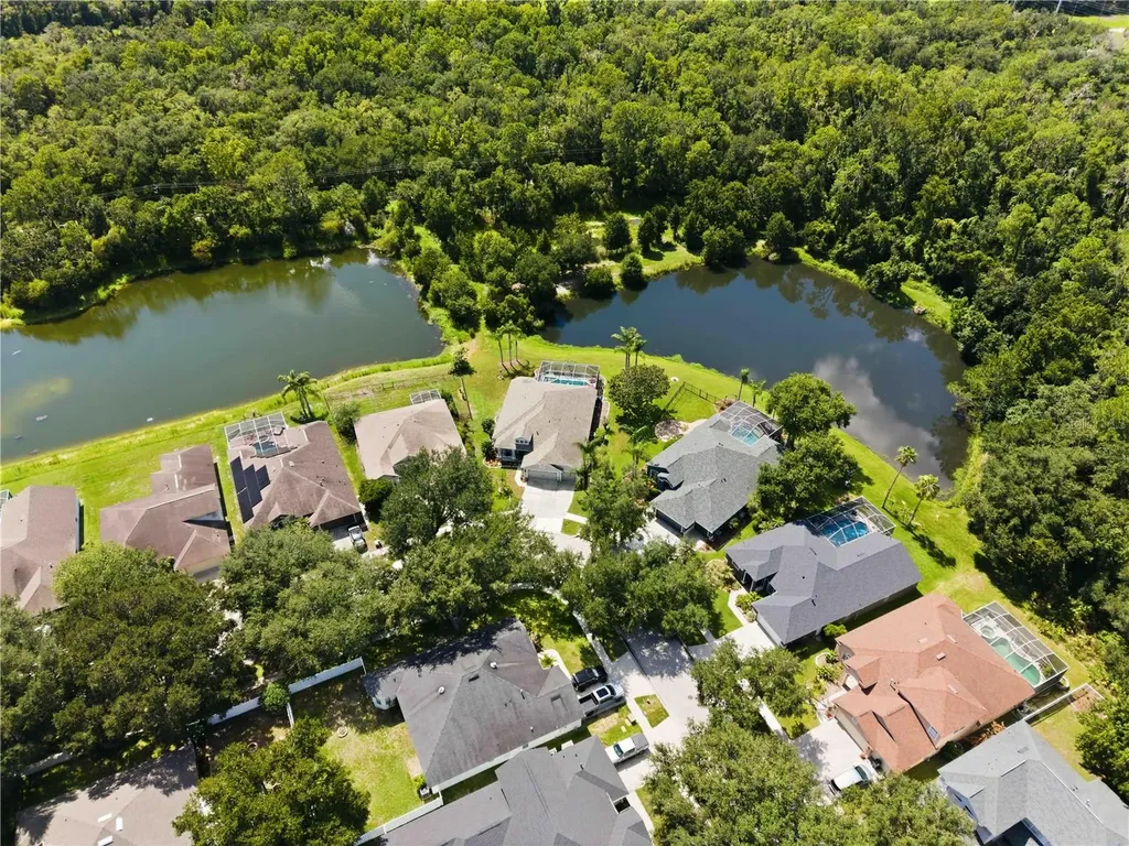 16817 Harrierridge Place Lithia FL 33547