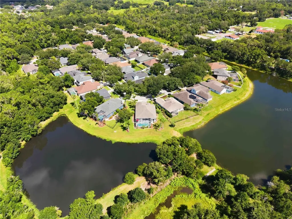 16817 Harrierridge Place Lithia FL 33547