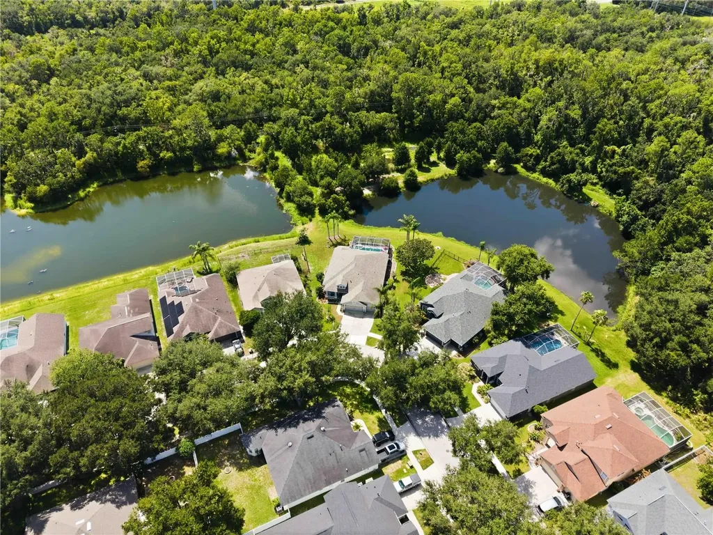 16817 Harrierridge Place Lithia FL 33547