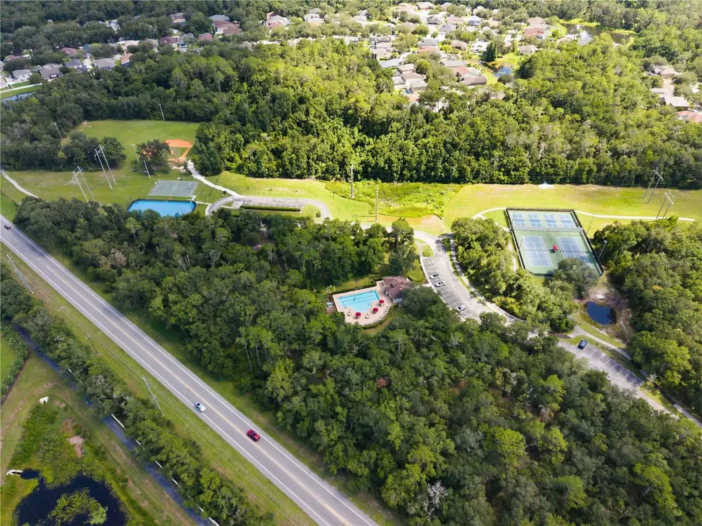 16817 Harrierridge Place Lithia FL 33547