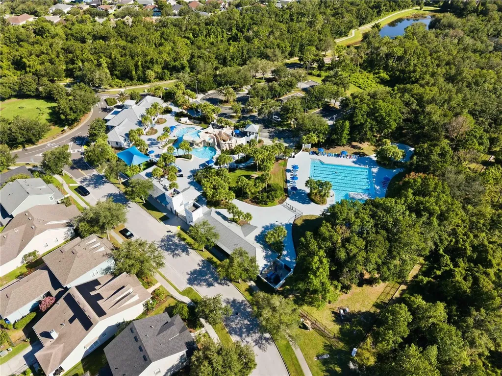 16817 Harrierridge Place Lithia FL 33547