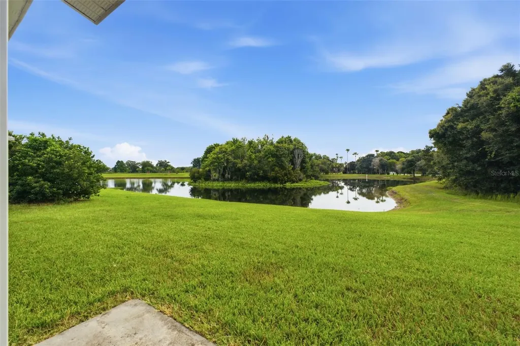 31522 Triborough Drive Wesley Chapel FL 33545
