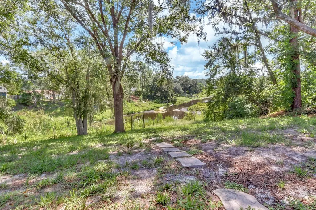 16123 E Lake Burrell Drive Lutz FL 33549