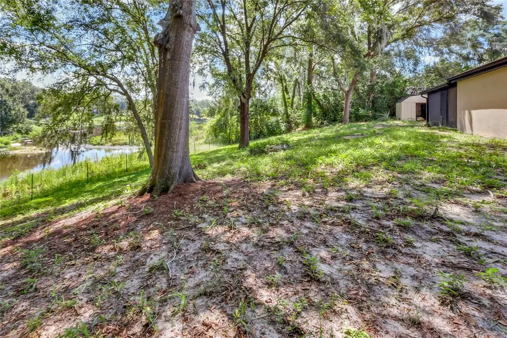 16123 E Lake Burrell Drive Lutz FL 33549