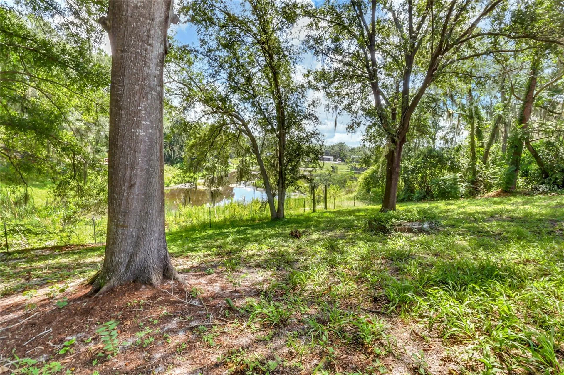 16123 E Lake Burrell Drive Lutz FL 33549