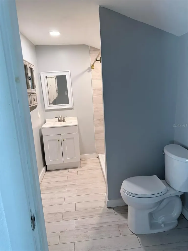 1243 Dingens Avenue Windermere FL 34786