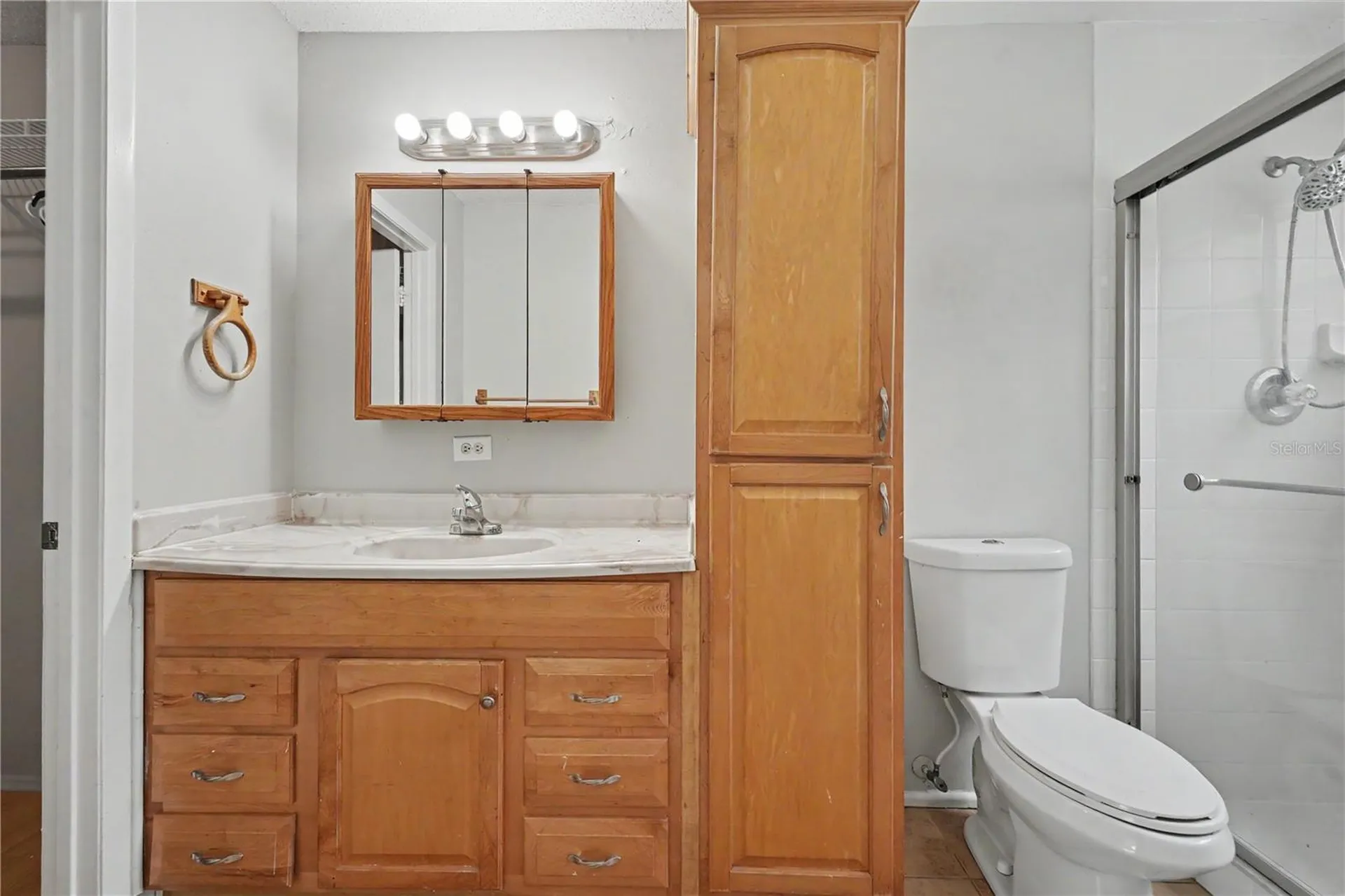 12108 Fruitwood Drive Riverview FL 33569