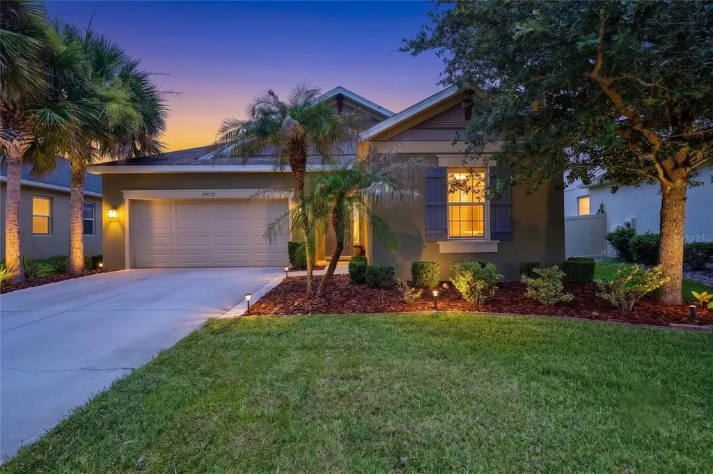 27035 Carolina Aster Drive Wesley Chapel FL 33544