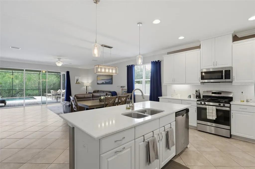 27035 Carolina Aster Drive Wesley Chapel FL 33544