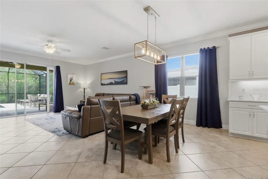 27035 Carolina Aster Drive Wesley Chapel FL 33544