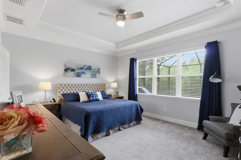 27035 Carolina Aster Drive Wesley Chapel FL 33544