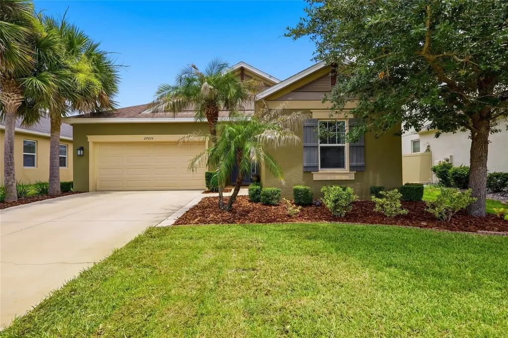 27035 Carolina Aster Drive Wesley Chapel FL 33544