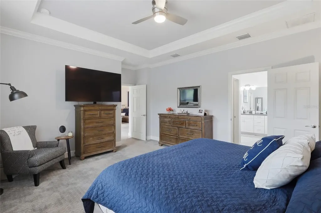27035 Carolina Aster Drive Wesley Chapel FL 33544
