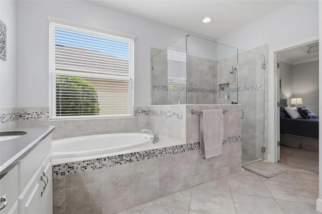 27035 Carolina Aster Drive Wesley Chapel FL 33544
