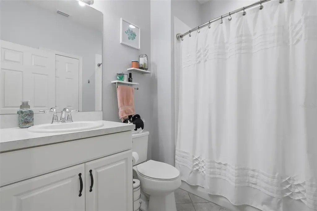 27035 Carolina Aster Drive Wesley Chapel FL 33544