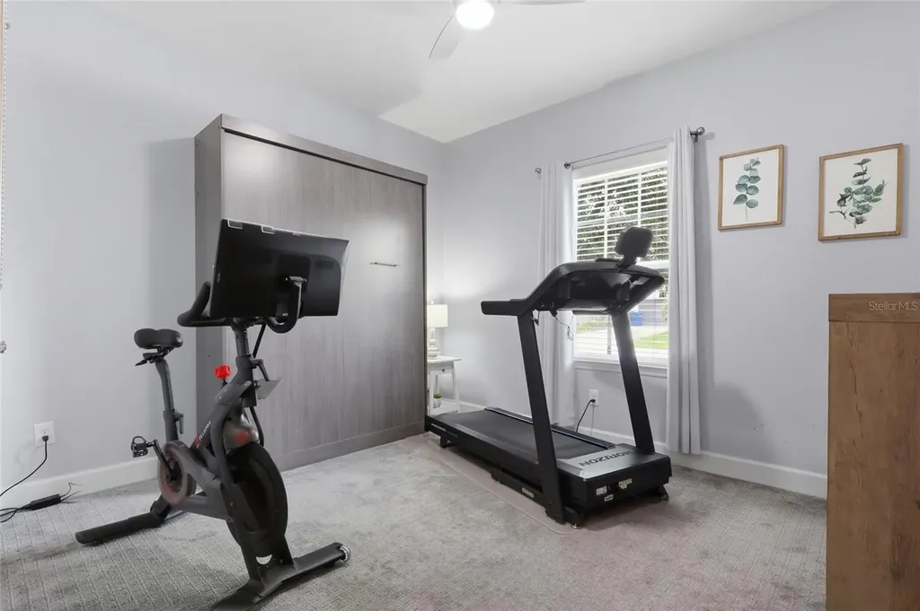 27035 Carolina Aster Drive Wesley Chapel FL 33544