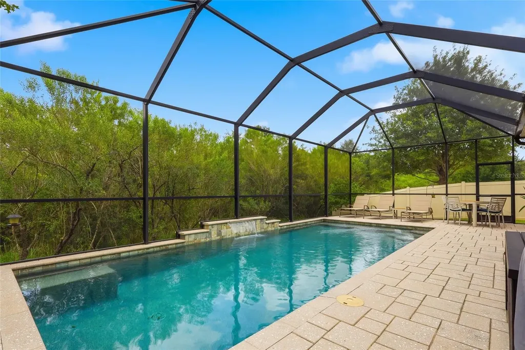 27035 Carolina Aster Drive Wesley Chapel FL 33544