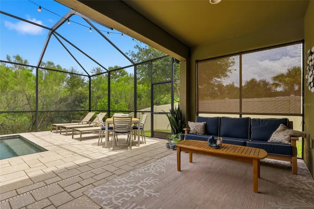 27035 Carolina Aster Drive Wesley Chapel FL 33544