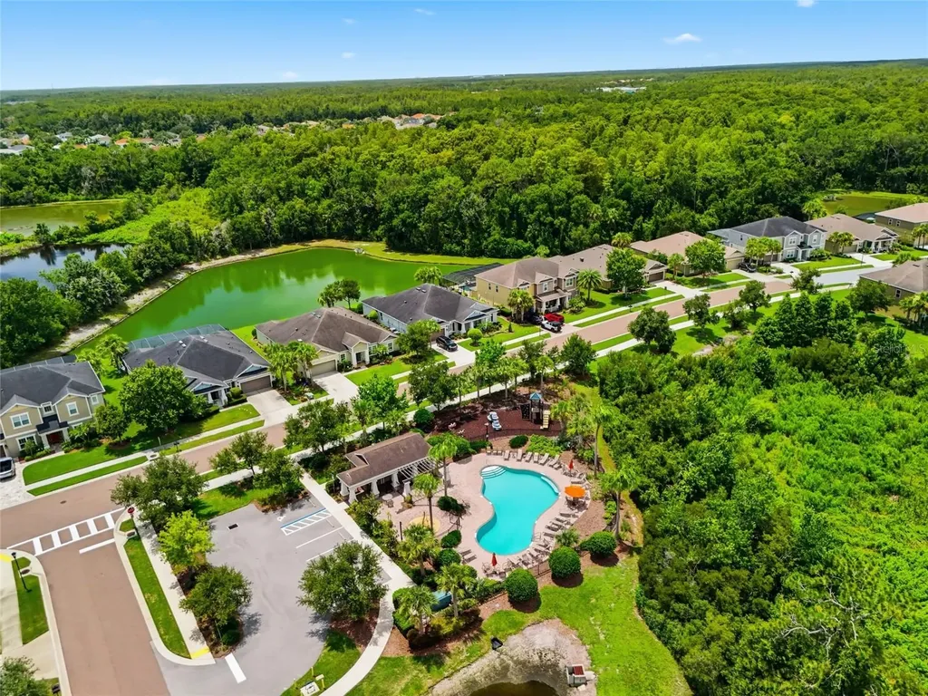 27035 Carolina Aster Drive Wesley Chapel FL 33544