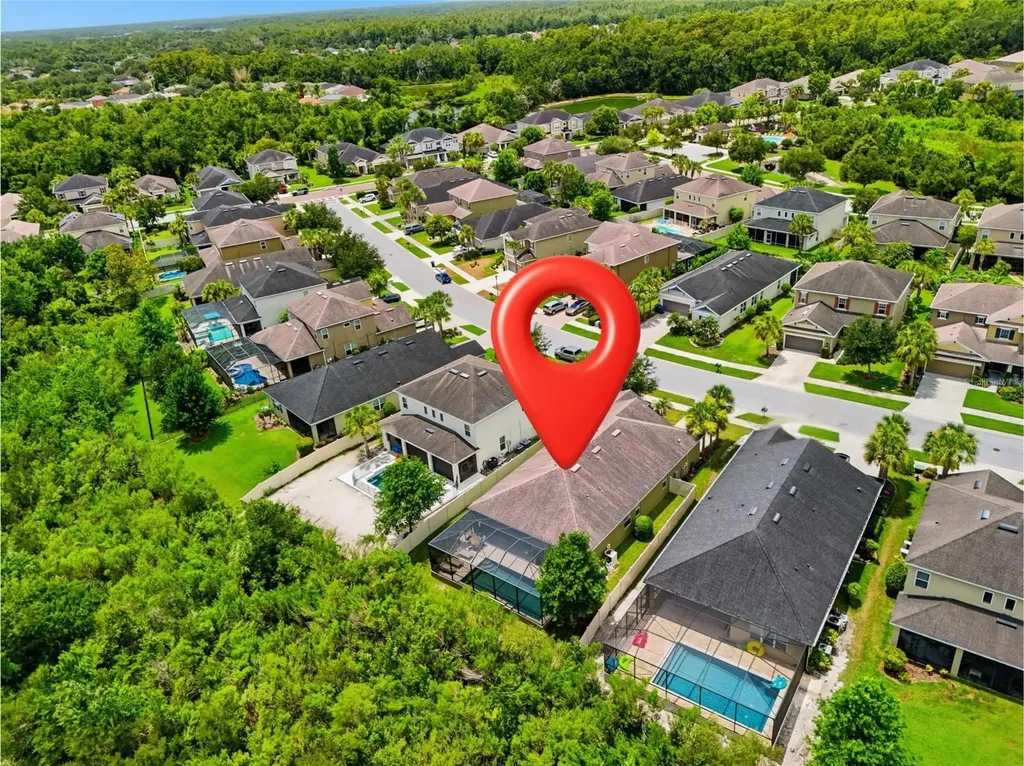 27035 Carolina Aster Drive Wesley Chapel FL 33544