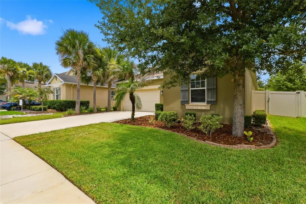 27035 Carolina Aster Drive Wesley Chapel FL 33544