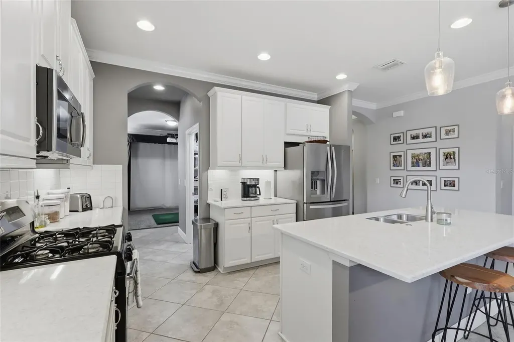 27035 Carolina Aster Drive Wesley Chapel FL 33544