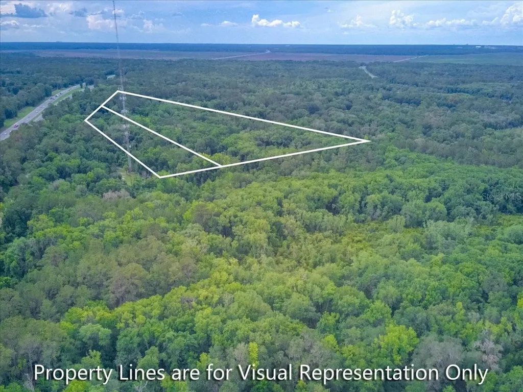 100 SE 134th Avenue Micanopy FL 32667