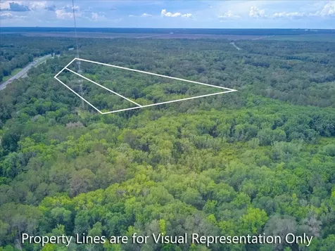 100 SE 134th Avenue Micanopy FL 32667