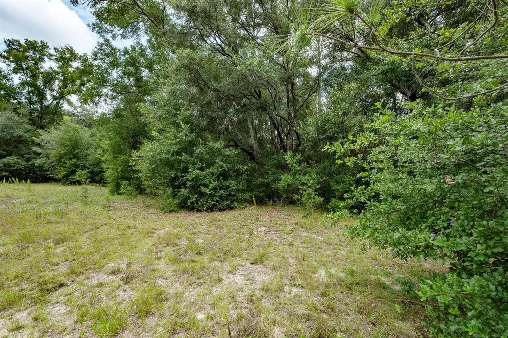 Tbd SE 55th Street Morriston FL 32668