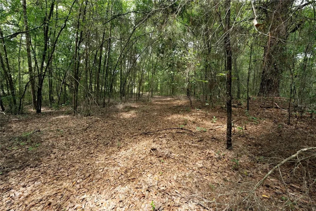 Tbd SE 55th Street Morriston FL 32668