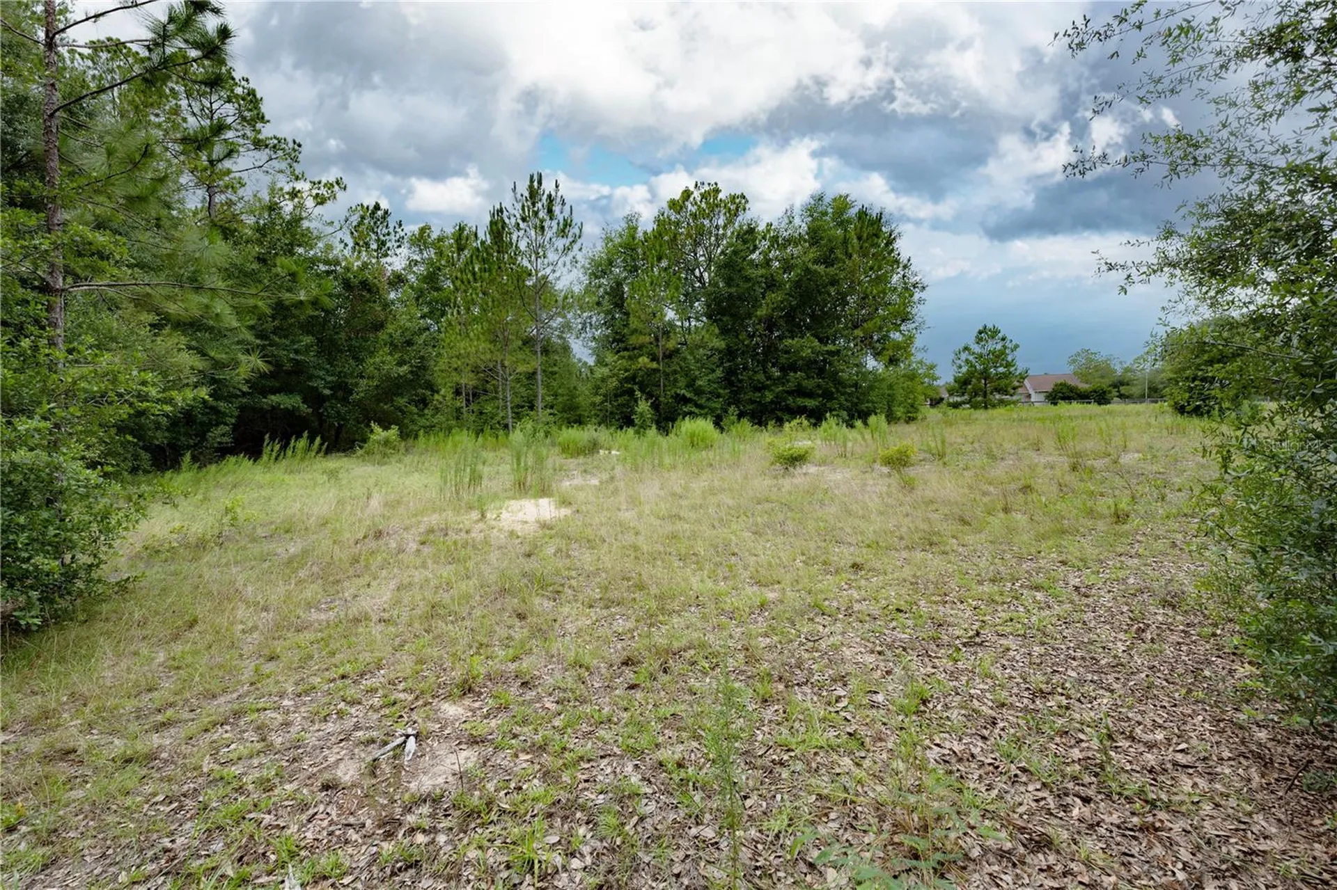 Tbd SE 55th Street Morriston FL 32668