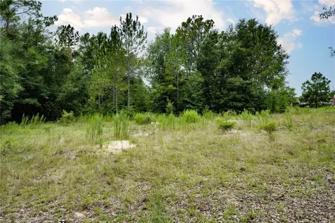 Tbd SE 55th Street Morriston FL 32668