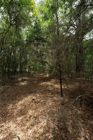 Tbd SE 55th Street Morriston FL 32668