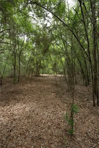 Tbd SE 55th Street Morriston FL 32668