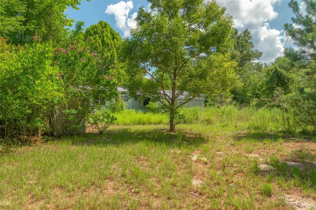 15824 SW 63rd Avenue Archer FL 32618