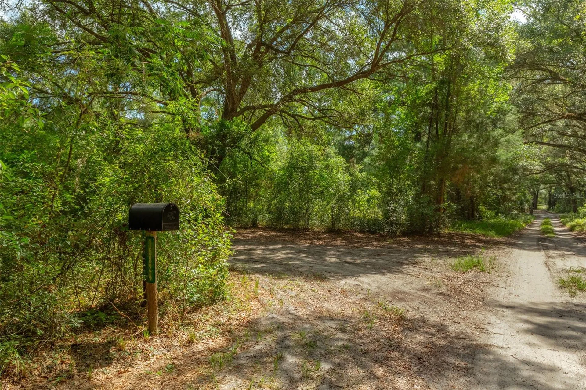 15824 SW 63rd Avenue Archer FL 32618