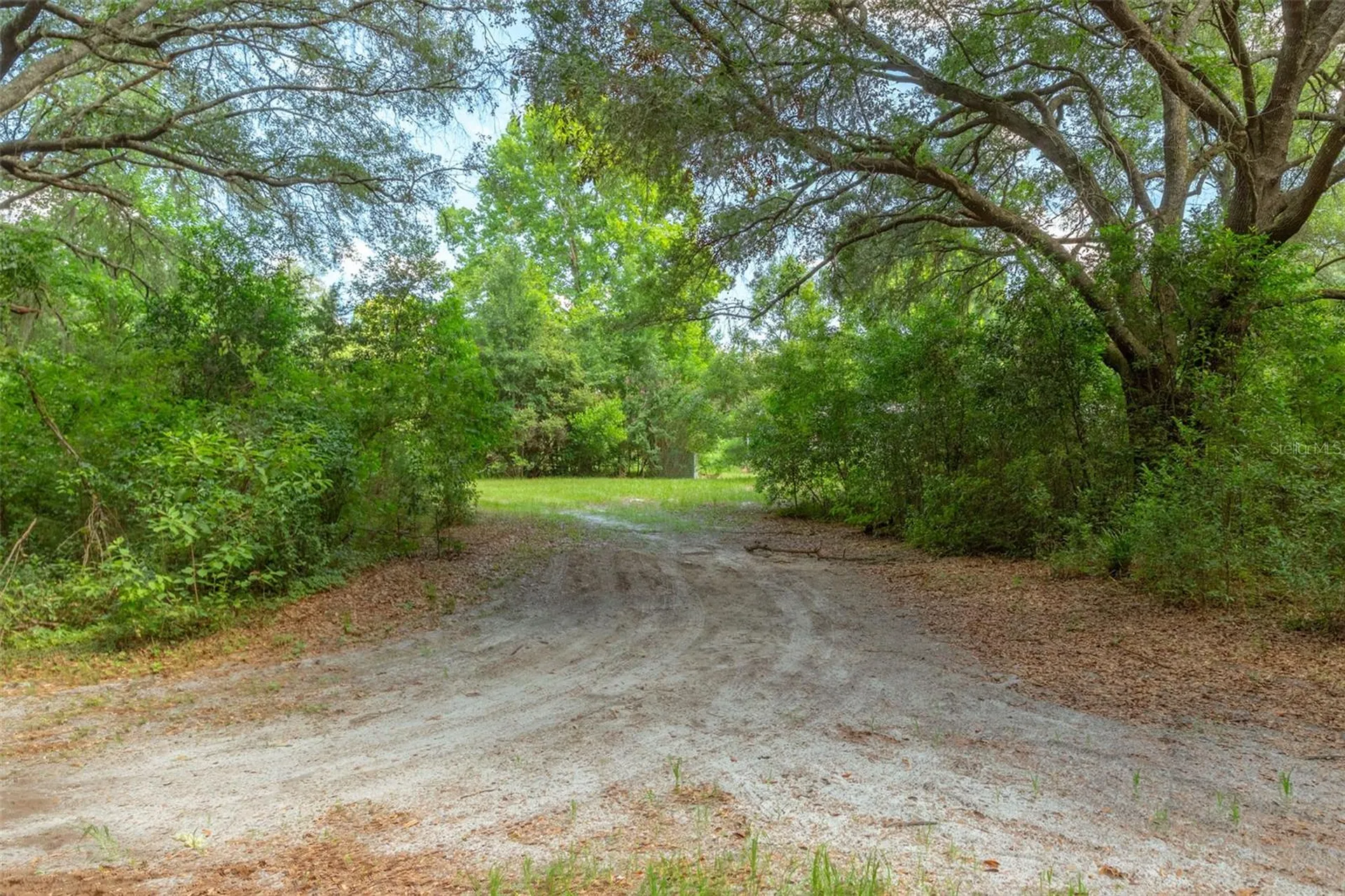 15824 SW 63rd Avenue Archer FL 32618