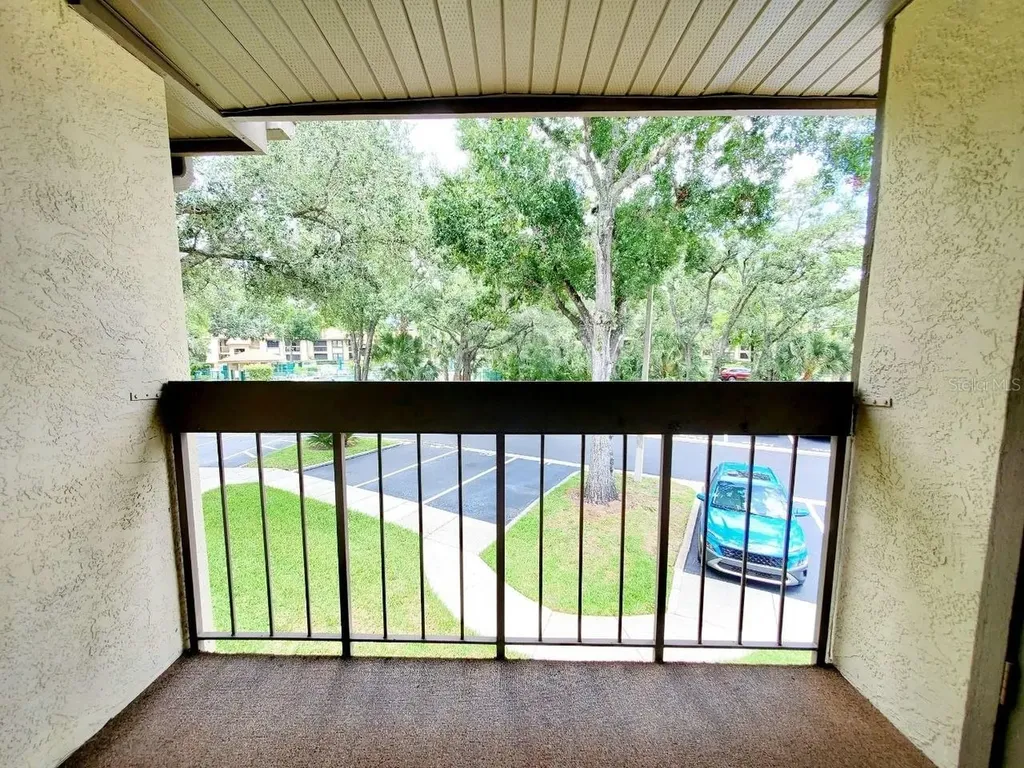 20 Woodlake Place Oldsmar FL 34677