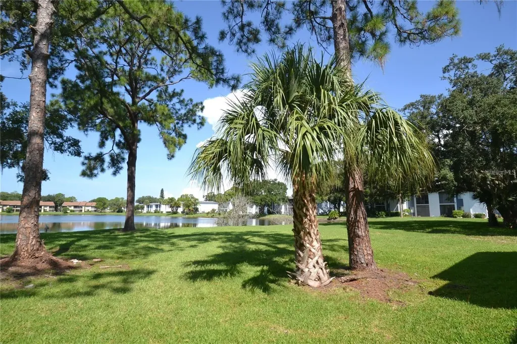 20 Woodlake Place Oldsmar FL 34677