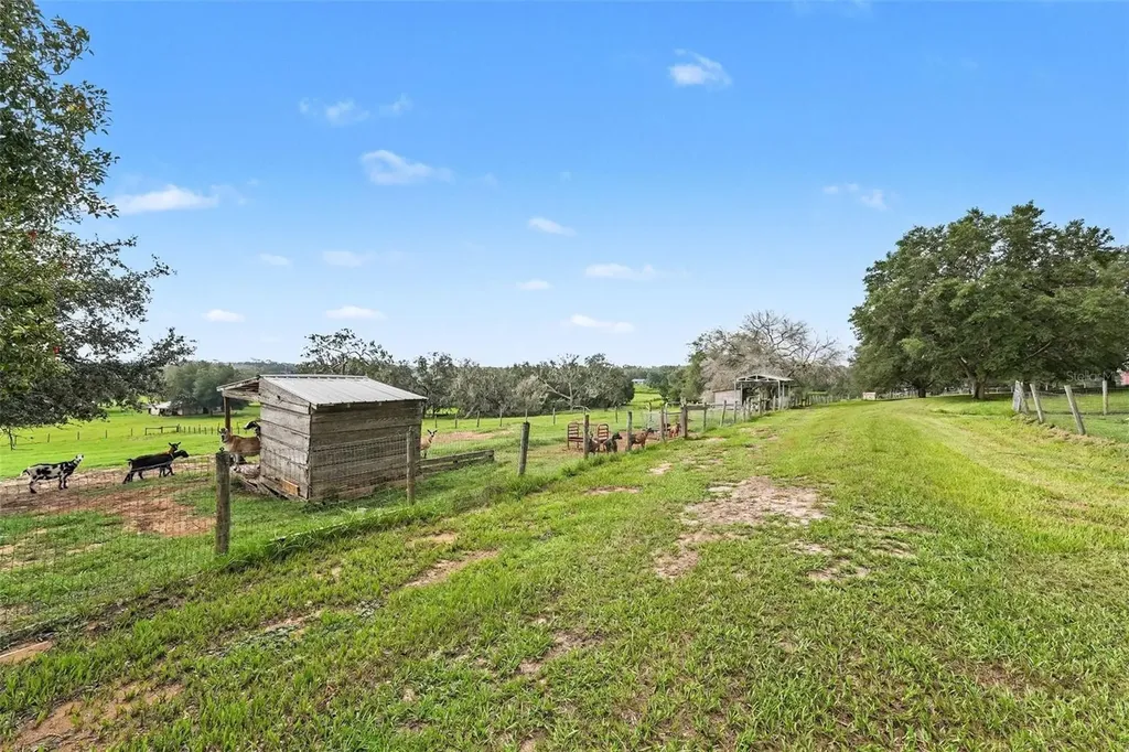 36304 Tomkow Lane Dade City FL 33523