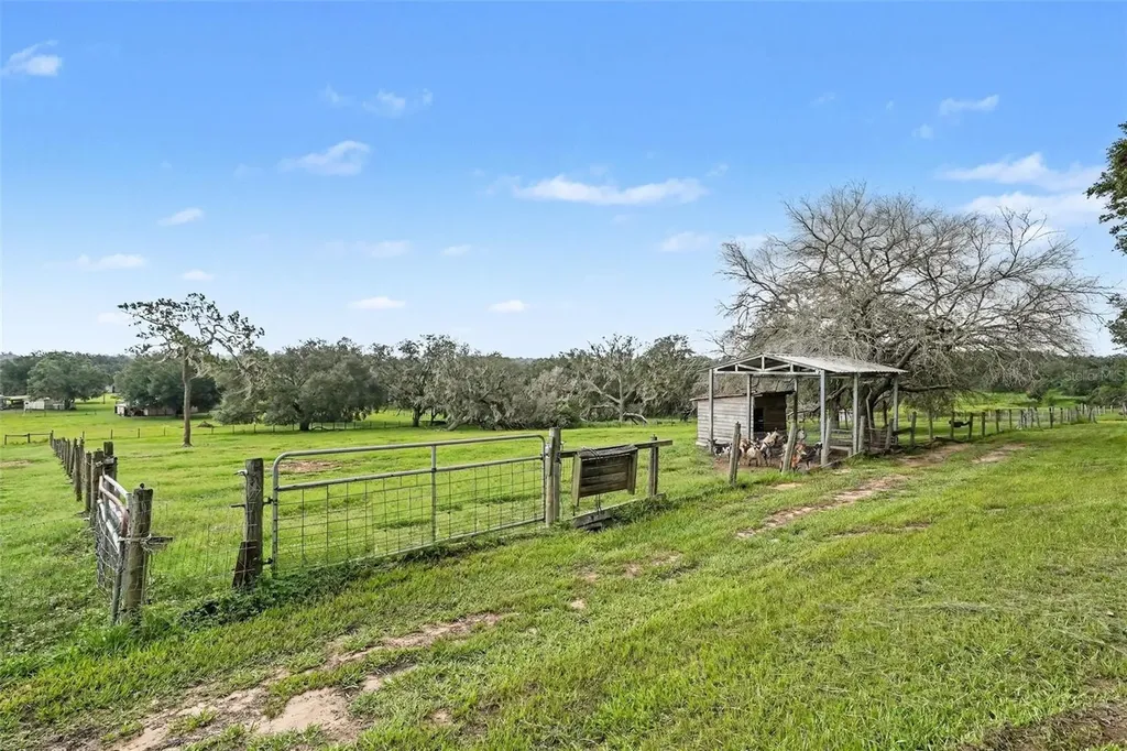 36304 Tomkow Lane Dade City FL 33523