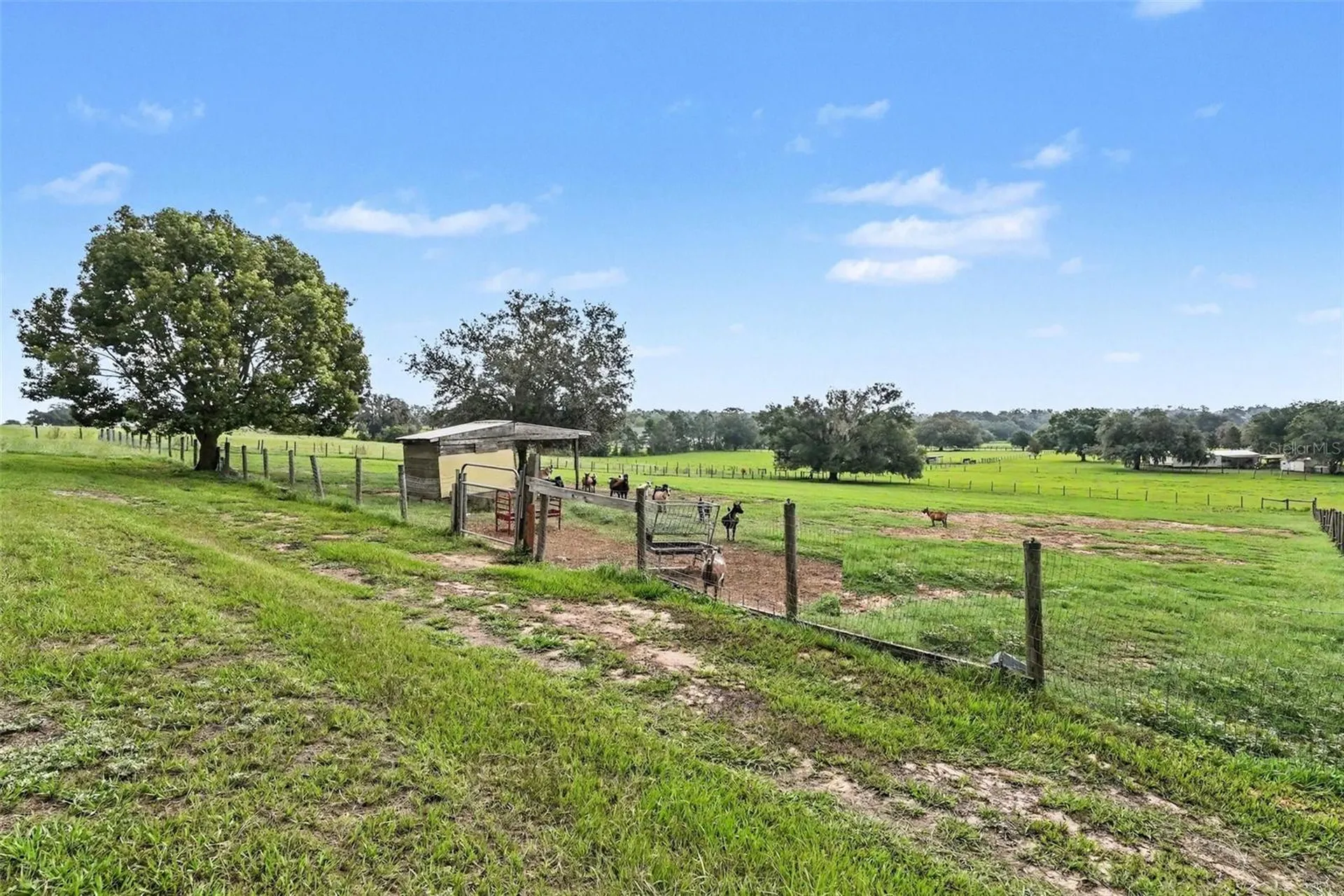 36304 Tomkow Lane Dade City FL 33523