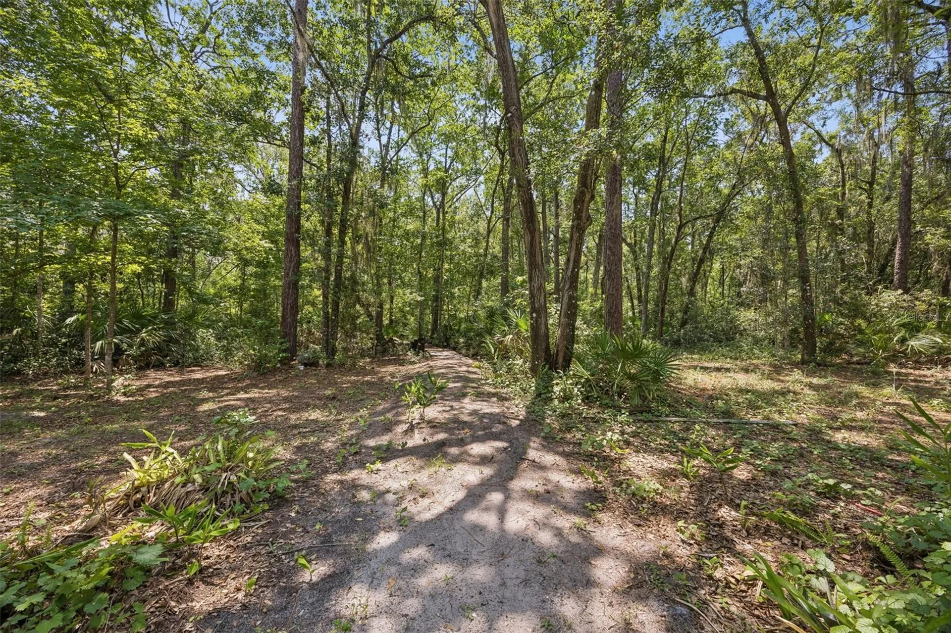 152 Pioneer Trail Green Cove Springs FL 32043