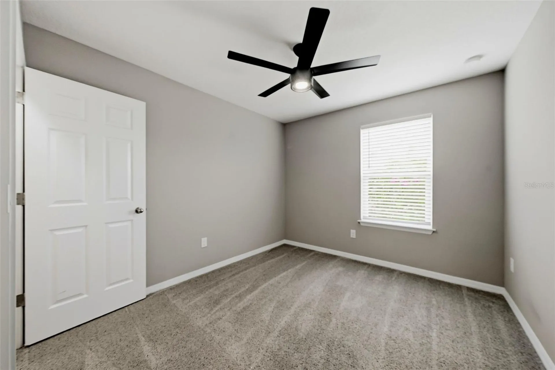 18924 Ulmus Street Lutz FL 33558