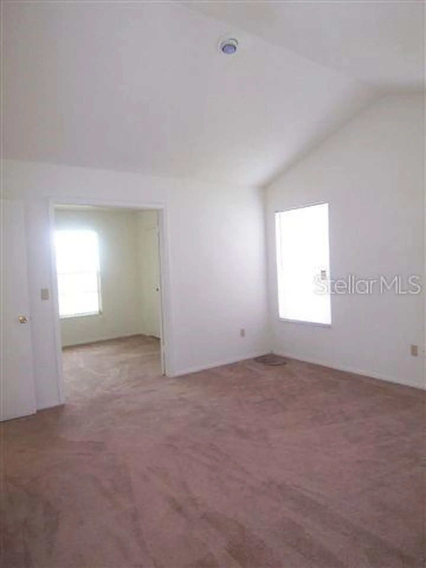 10819 Venice Circle Tampa FL 33635