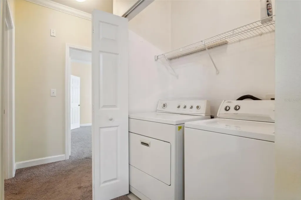 18332 Bridle Club Drive Tampa FL 33647