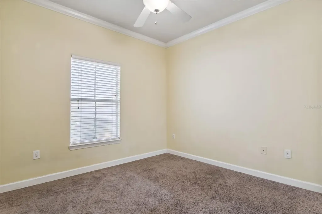 18332 Bridle Club Drive Tampa FL 33647