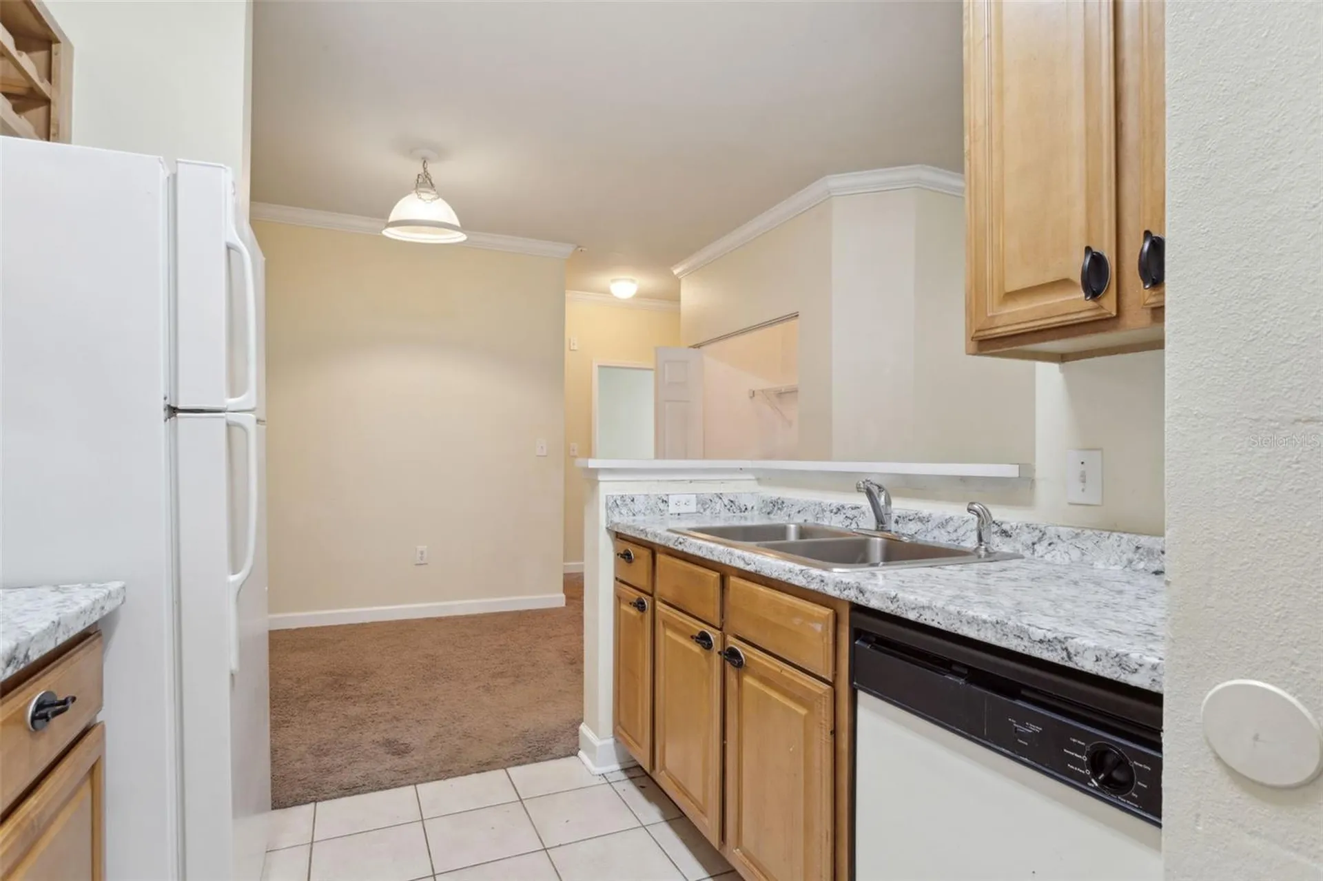 18332 Bridle Club Drive Tampa FL 33647