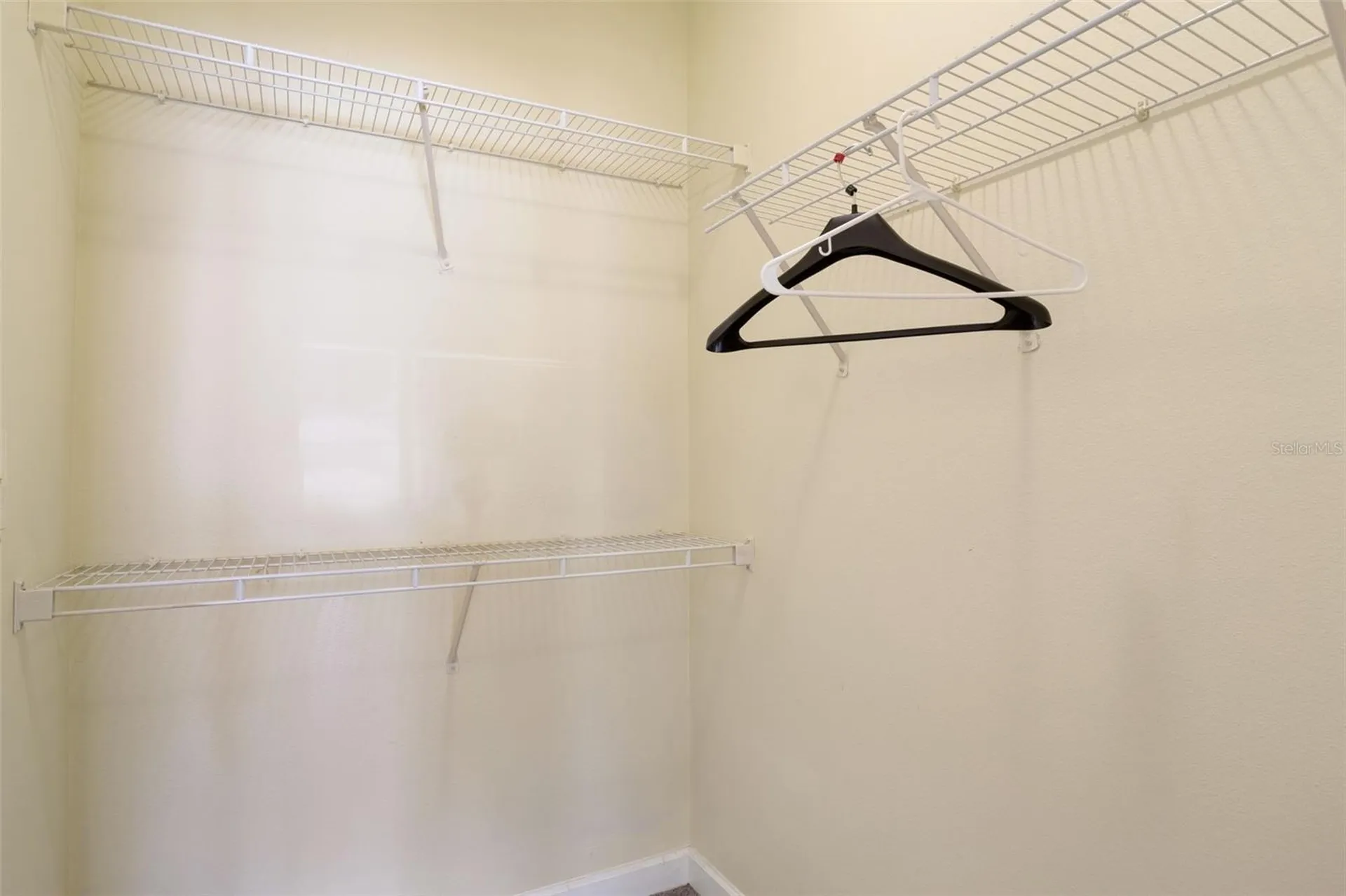 18332 Bridle Club Drive Tampa FL 33647